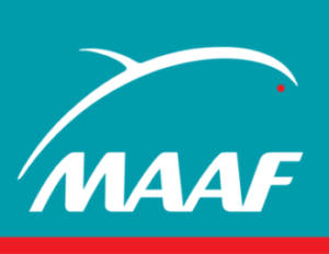 ZZ_LC_SO_9_Maaf